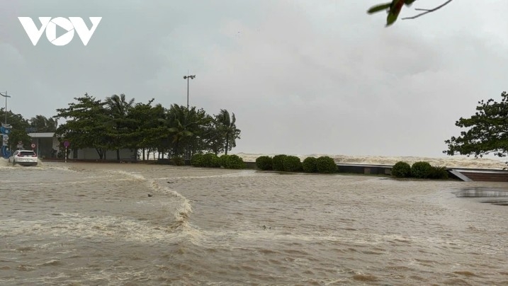 typhoon bualoi batters central vietnam, leaving widespread damage picture 1