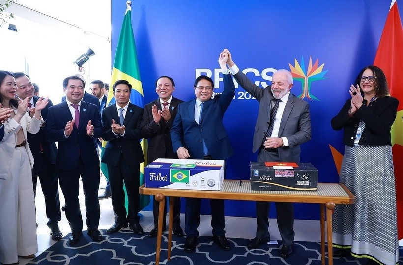 vietnam, mercosur explore economic cooperation potential, opportunities picture 1