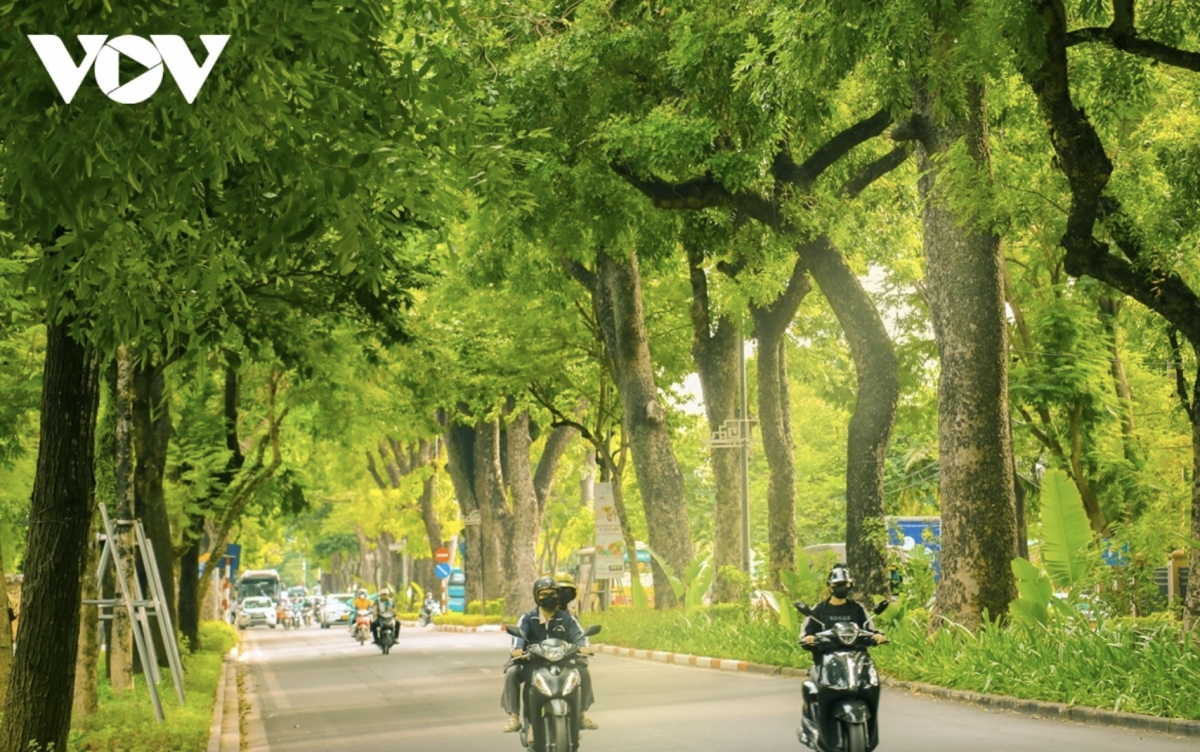 hanoi named among asia s top spots for autumn foliage picture 1