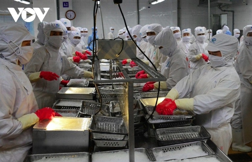 china increases imports of vietnamese shrimp picture 1