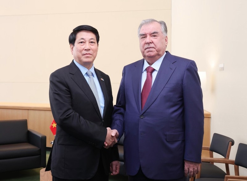 Vietnam treasures traditional friendship with Tajikistan: State President