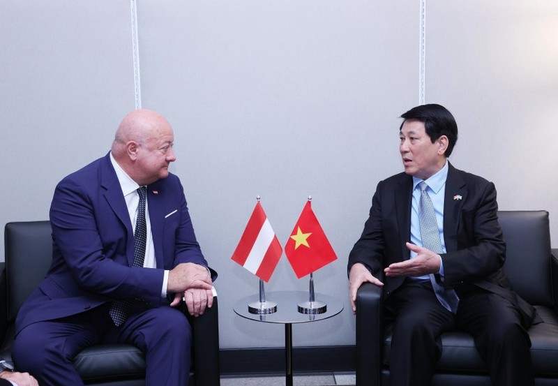 vietnam wants to develop multifaceted cooperation with austria state president picture 1