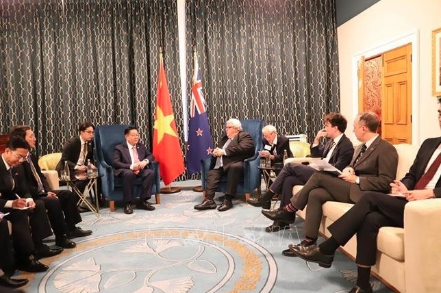 vietnam, new zealand affirm continued cooperation in development process picture 1