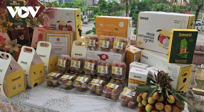lychee exports soar to us 80 million, tripling year-on-year picture 1