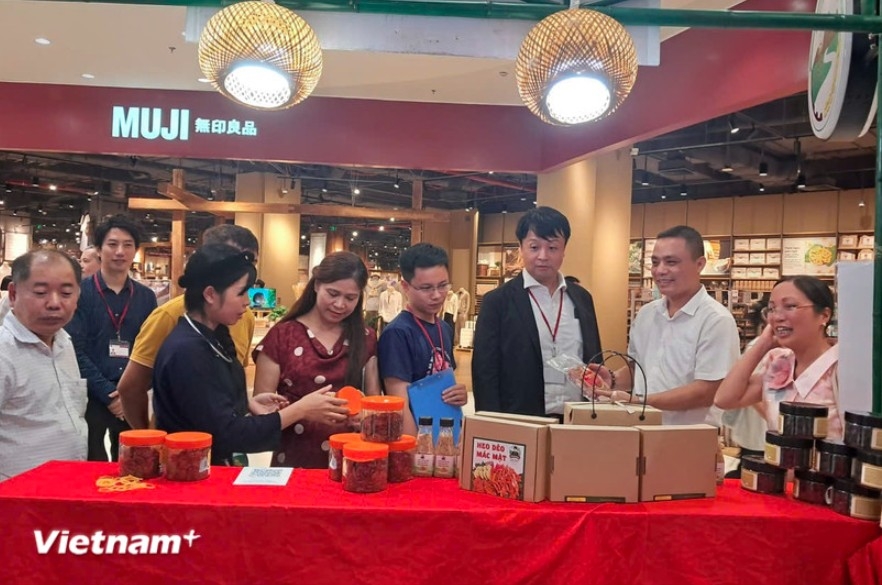 over 1,000 agricultural and ocop specialty products on show at 2025 fair picture 1