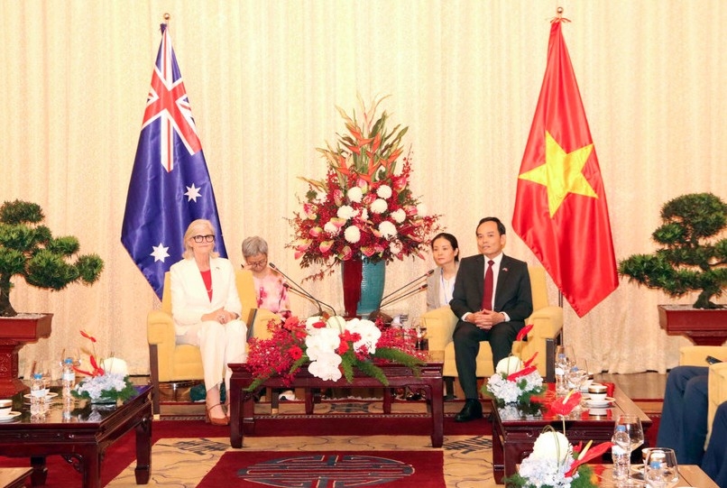 hcm city hopes to enhance partnerships with australian localities picture 1