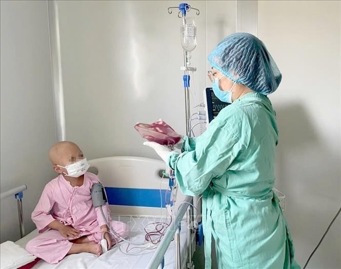 vietnam performs first-ever mother-to-child bone marrow transplant for thalassemia picture 1 vietnam performs first-ever mother-to-child bone marrow transplant for thalassemia picture 1