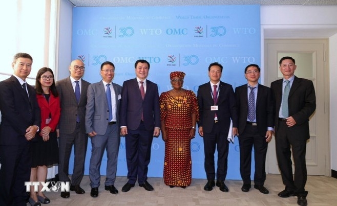 vietnam underscores backing for wto reform process picture 1