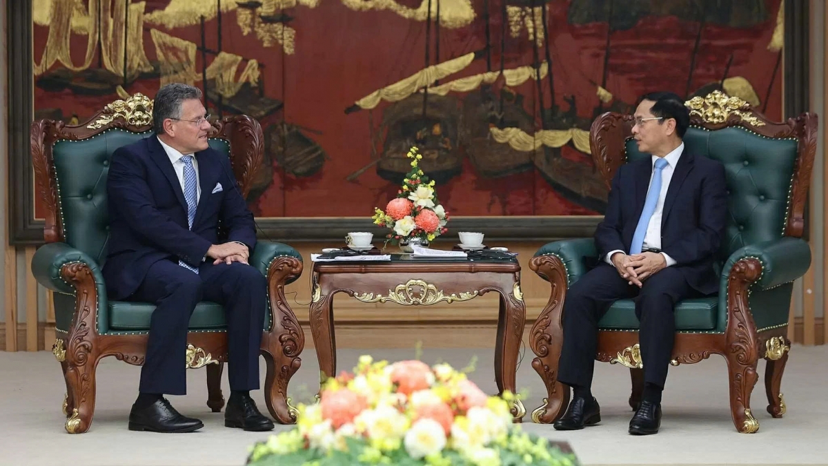 deputy pm lauds tangible progress in vietnam eu cooperation picture 1
