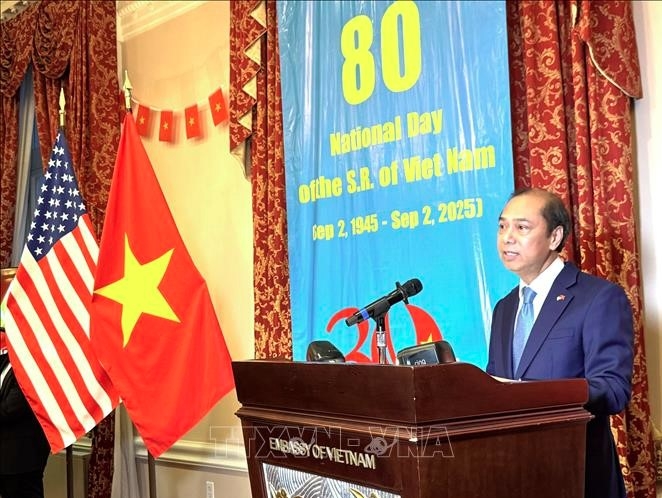 vietnam, us deepen comprehensive strategic partnership amid major anniversaries picture 1 vietnam, us deepen comprehensive strategic partnership amid major anniversaries picture 1