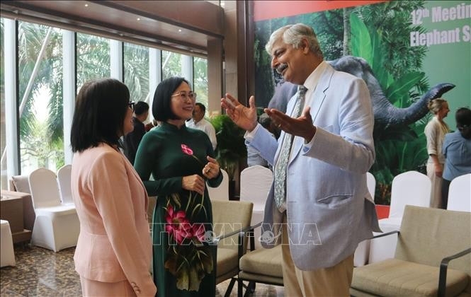 asian elephant experts meet in dong nai to explore conservation measures picture 1