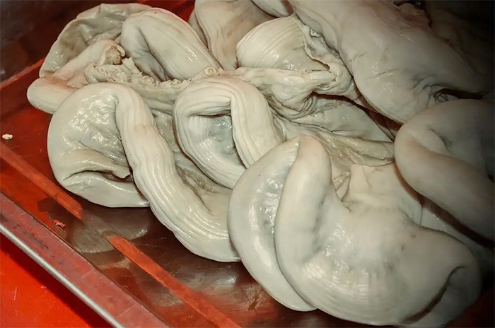 Làm sạch dạ dày đừng cho muối và bột mì, làm cách này mới chuẩn nhà hàng