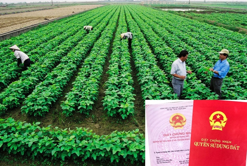 Đề xuất điều chỉnh mức thu tiền chuyển đổi mục đích sử dụng đất nông nghiệp  sang đất ở