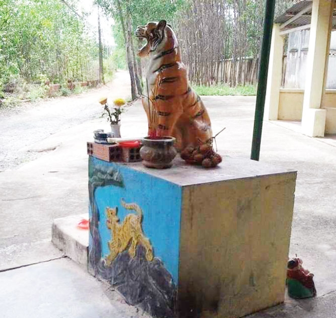 ve chien khu D nghe chuyen giet cop ba mong giua dai ngan hinh anh 4