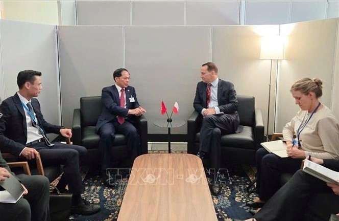 deputy pm meets uk, polish counterparts and fedex ceo on sidelines of unga 80 picture 2