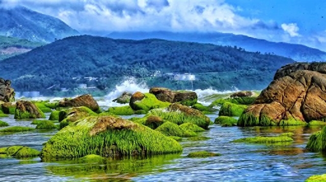 da nang photo collection to be exhibited in rok picture 1
