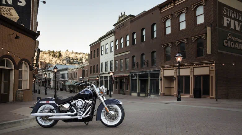 top 9 mau harley-davidson softail dep nhat moi thoi dai, bieu tuong cua cruiser my hinh anh 2