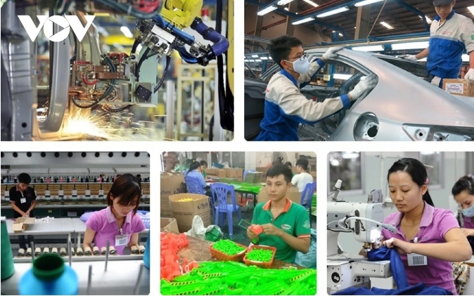 more than 128,000 new enterprises set up in eight months picture 1