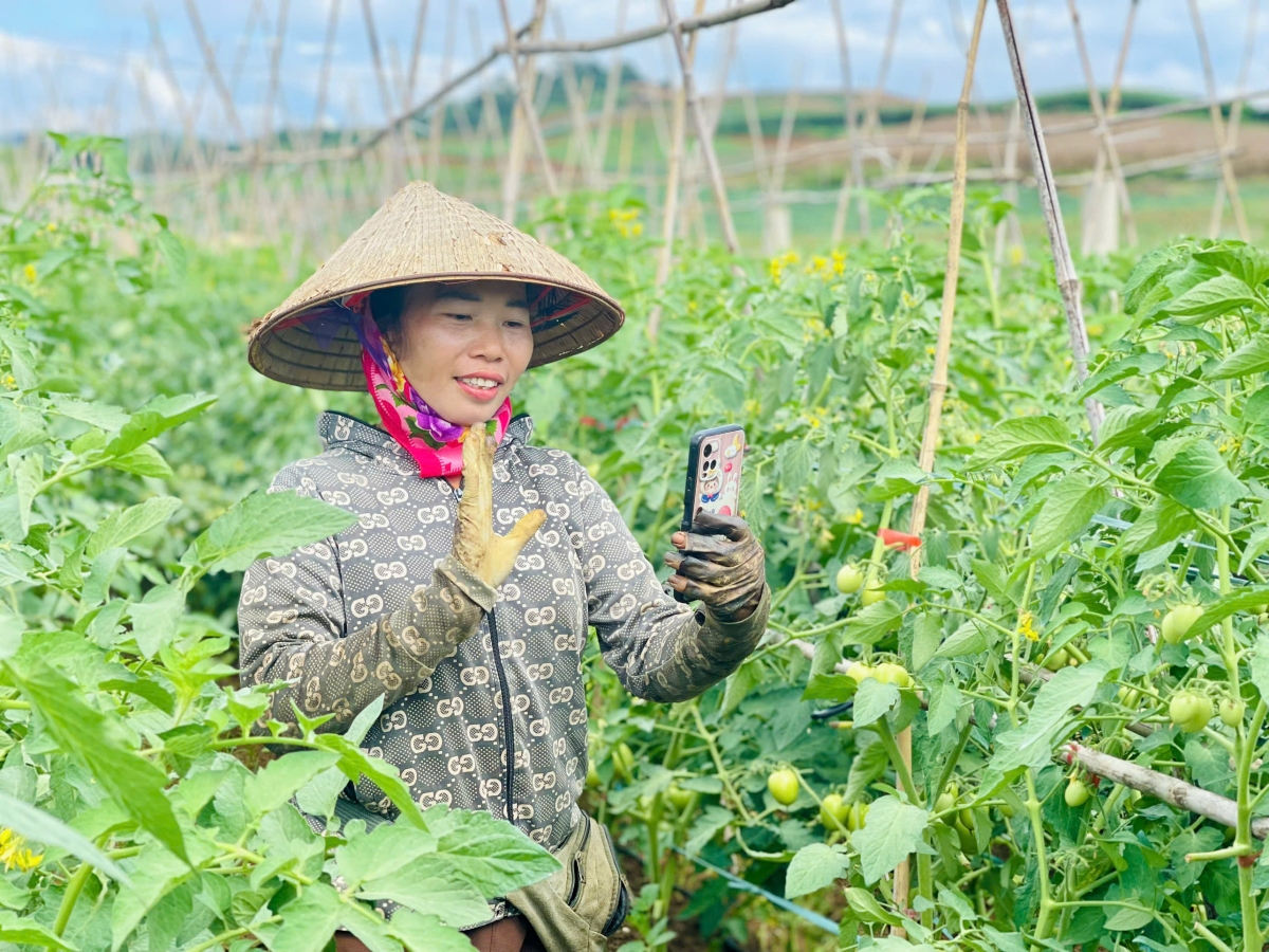 Bí thư, cấp ủy, đảng viên đi đầu thực hiện chuyển đổi số tại Sơn La
