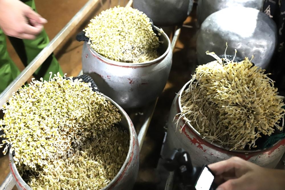 Phát hiện cơ sở dùng chất cấm "nước kẹo" để sản xuất giá đỗ tại Hà Tĩnh