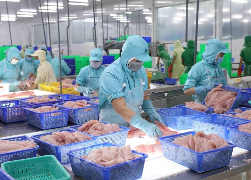 aquatic sector advised to navigate challenges, secure exports to eu, us markets picture 1