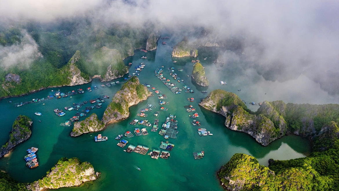 Doi moi, but pha - hai phong khang dinh vai tro dau tau phat trien hinh anh 3