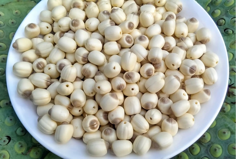 Những lợi ích bất ngờ từ hạt sen