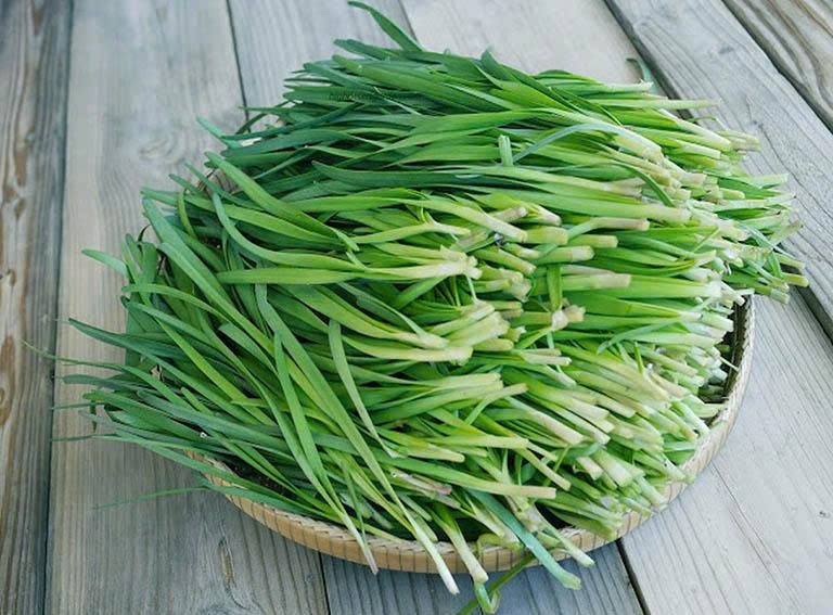 Lá hẹ chữa ho: Thực hư hiệu quả và cách dùng đúng