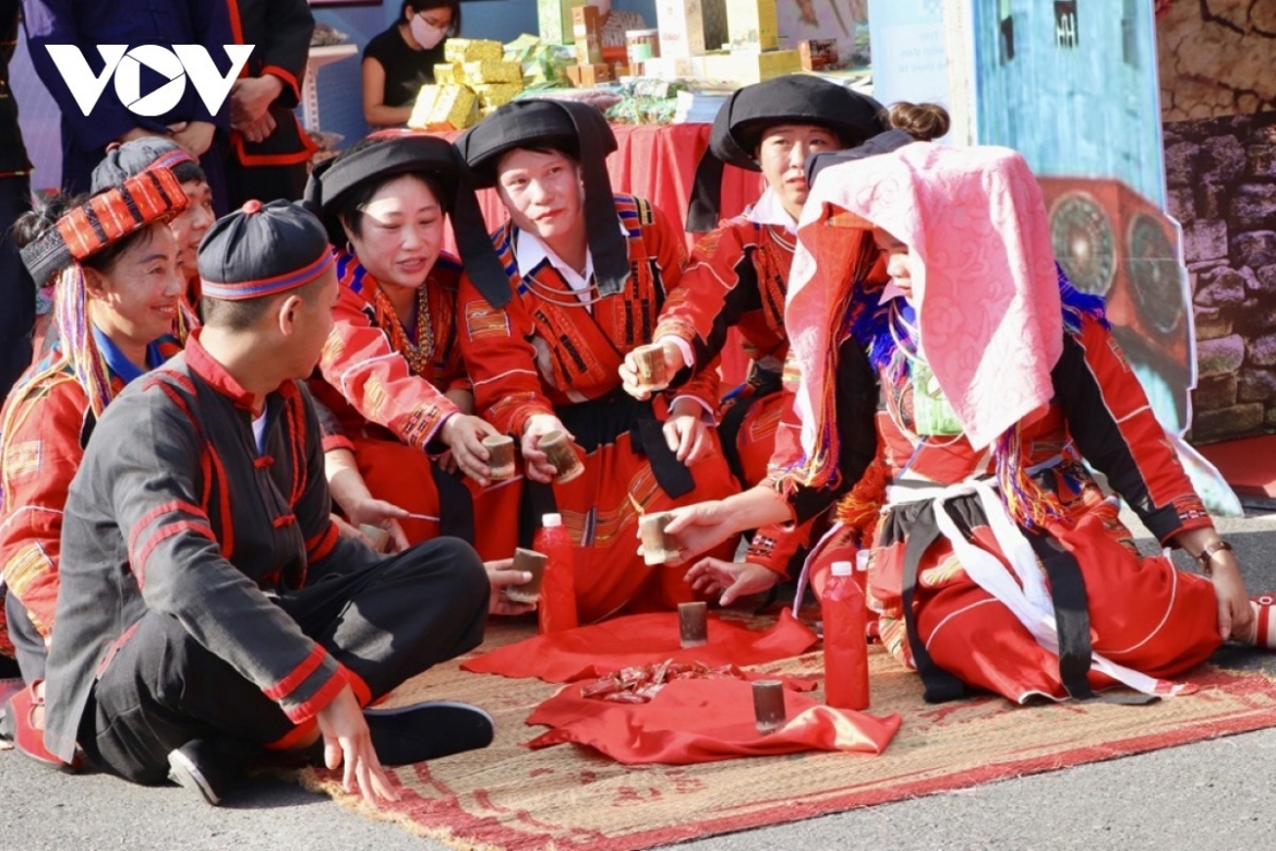 van hoa viet nam thong nhat trong da dang - suc manh mem cua dan toc hinh anh 1