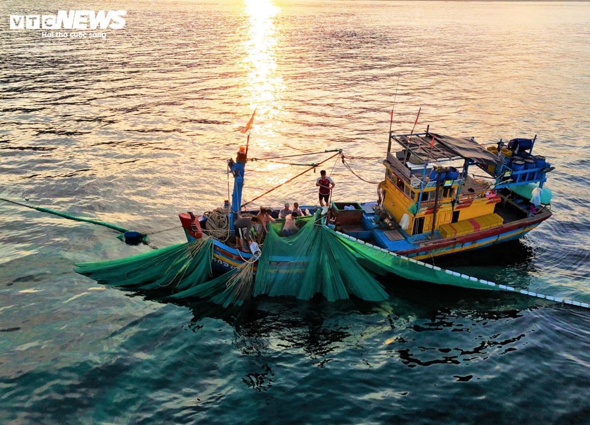 lo dieu fishing village - where nets bloom like flowers on the sea picture 16