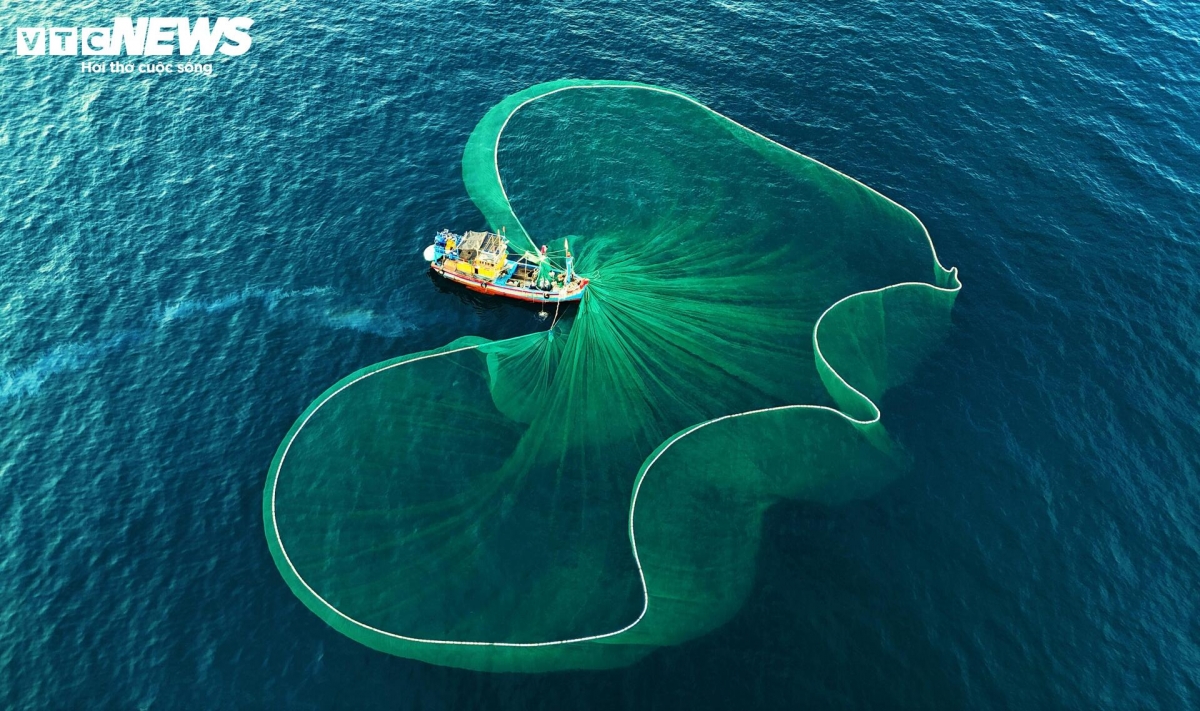 lo dieu fishing village - where nets bloom like flowers on the sea picture 4