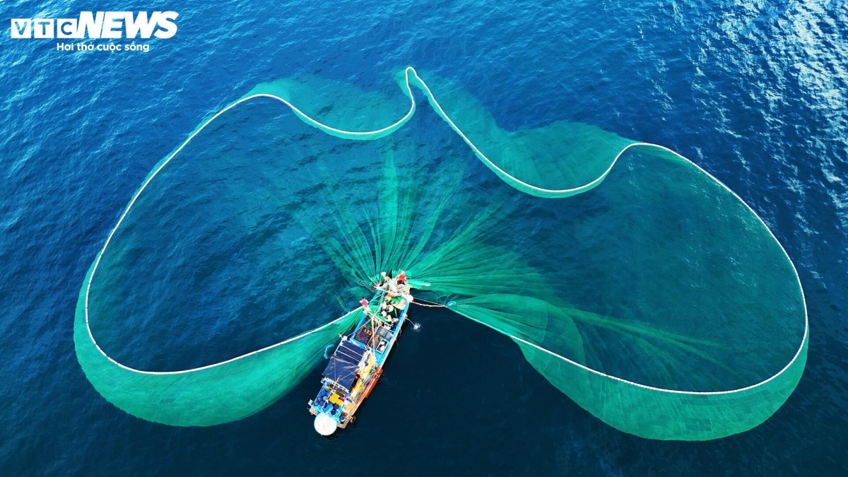 lo dieu fishing village - where nets bloom like flowers on the sea picture 6