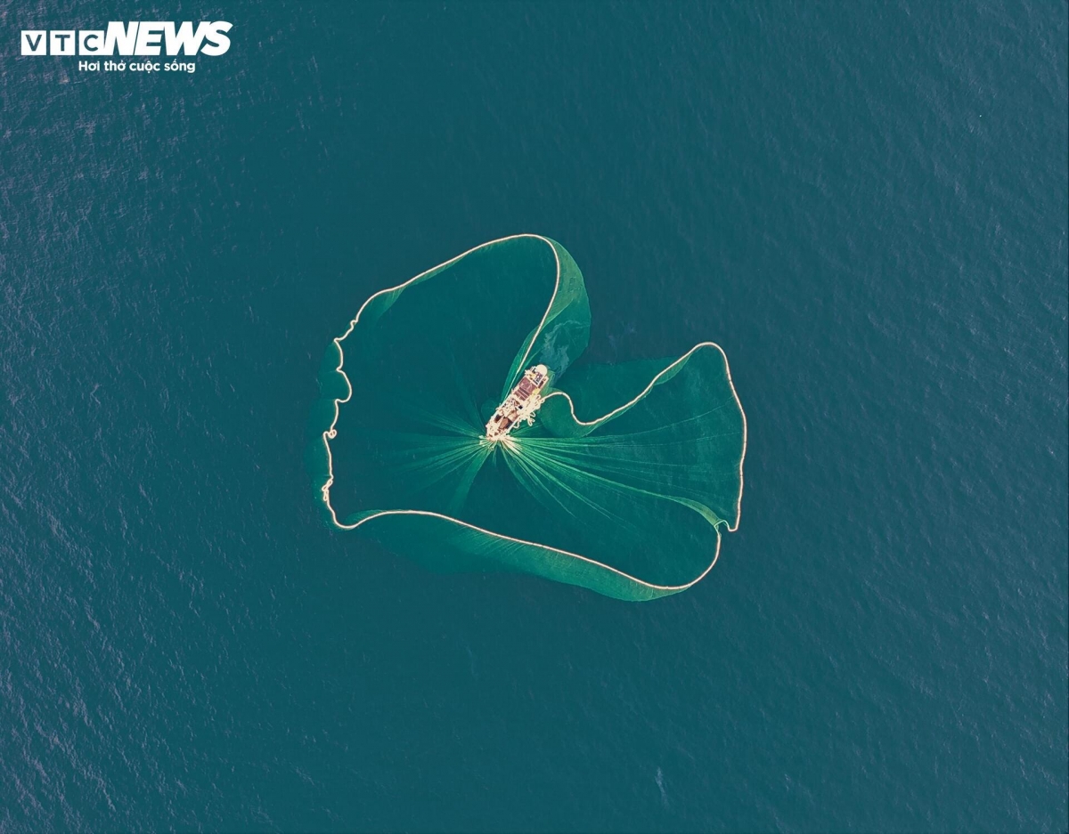 lo dieu fishing village - where nets bloom like flowers on the sea picture 7