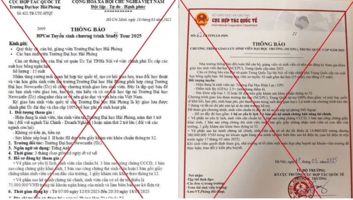 bo gd Dt canh bao thong tin gia ve hoc bong, tai tro du hoc hinh anh 1