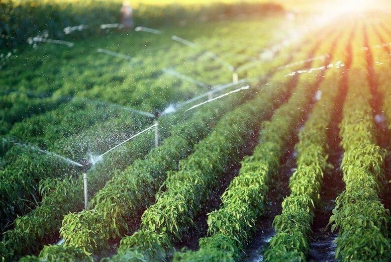 33 countries and territories to attend 8th Organic Asia Congress in Vietnam