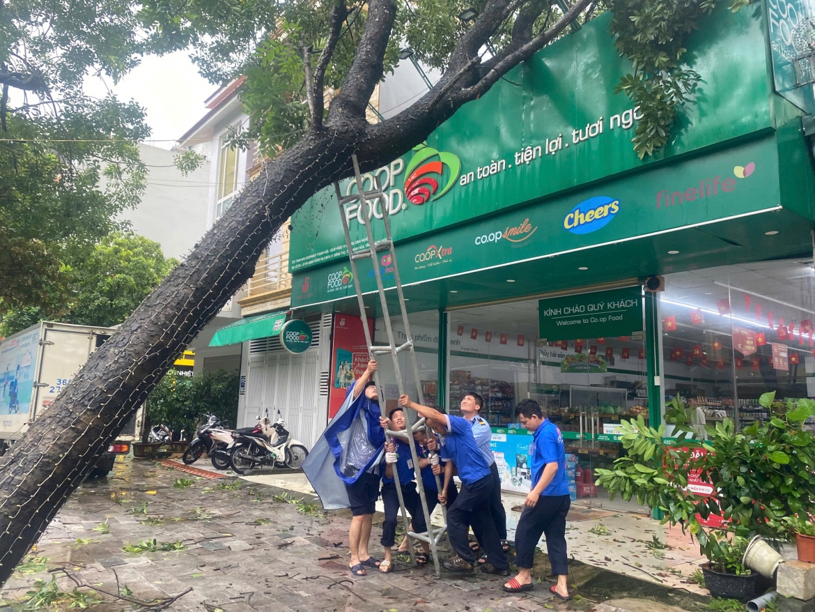 giua bao so 10, saigon co.op tung goi binh on gia thiet yeu, giam gia thuc pham den 33 hinh anh 1