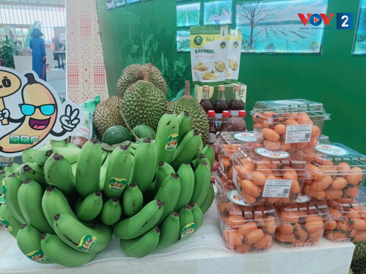 dau an dac sac cac dia phuong tai trien lam 80 nam thanh tuu dat nuoc hinh anh 3