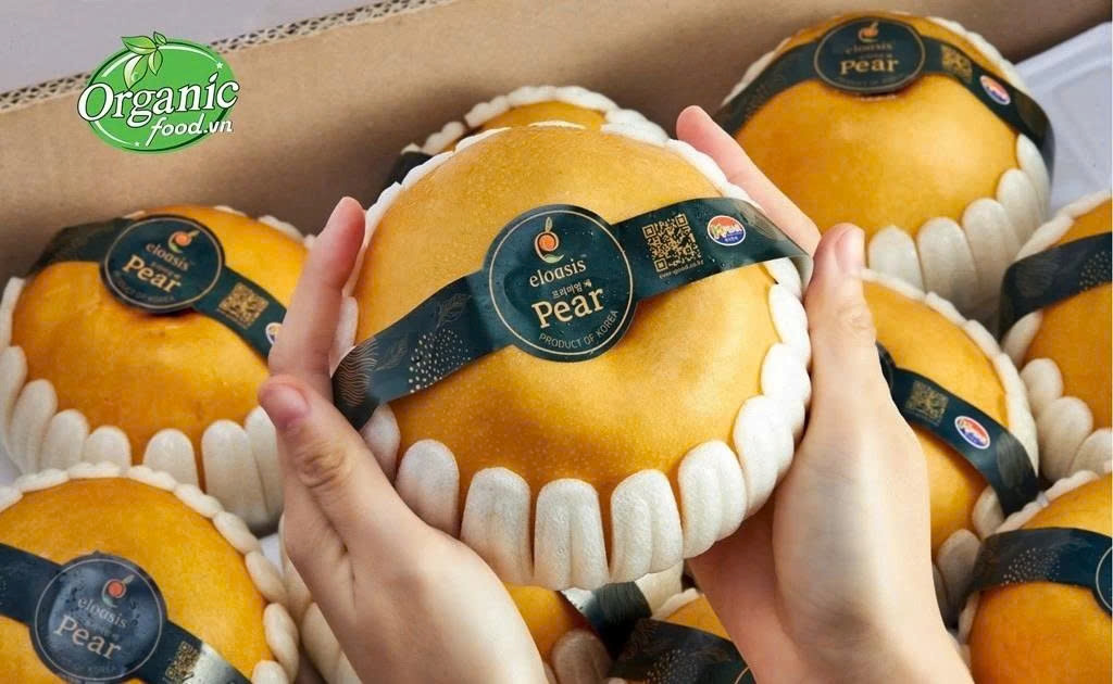rok exports premium pears to vietnam picture 1 rok exports premium pears to vietnam picture 1