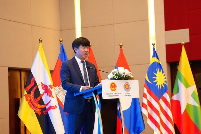 Vietnam backs ASEAN disaster response initiative