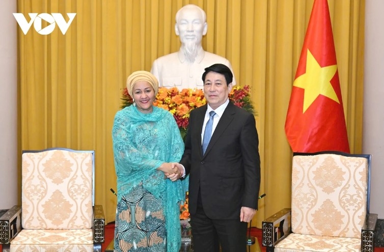 vietnam strengthens its contributions to un activities picture 2
