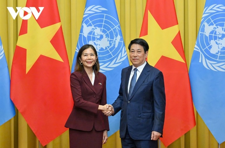 vietnam strengthens its contributions to un activities picture 3