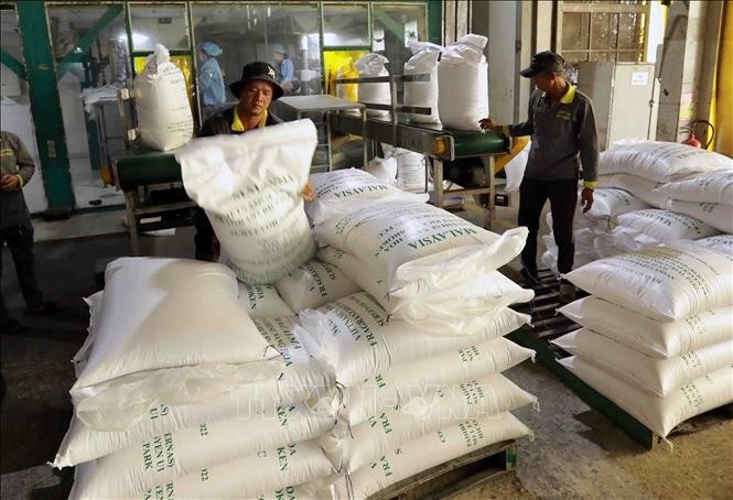 vietnam exports nearly 5.9 million tonnes of rice picture 1 vietnam exports nearly 5.9 million tonnes of rice picture 1
