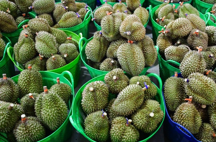 Chỉ 15 ngày 'ôm' về 650 triệu USD, xuất khẩu rau quả làm được điều khó tin