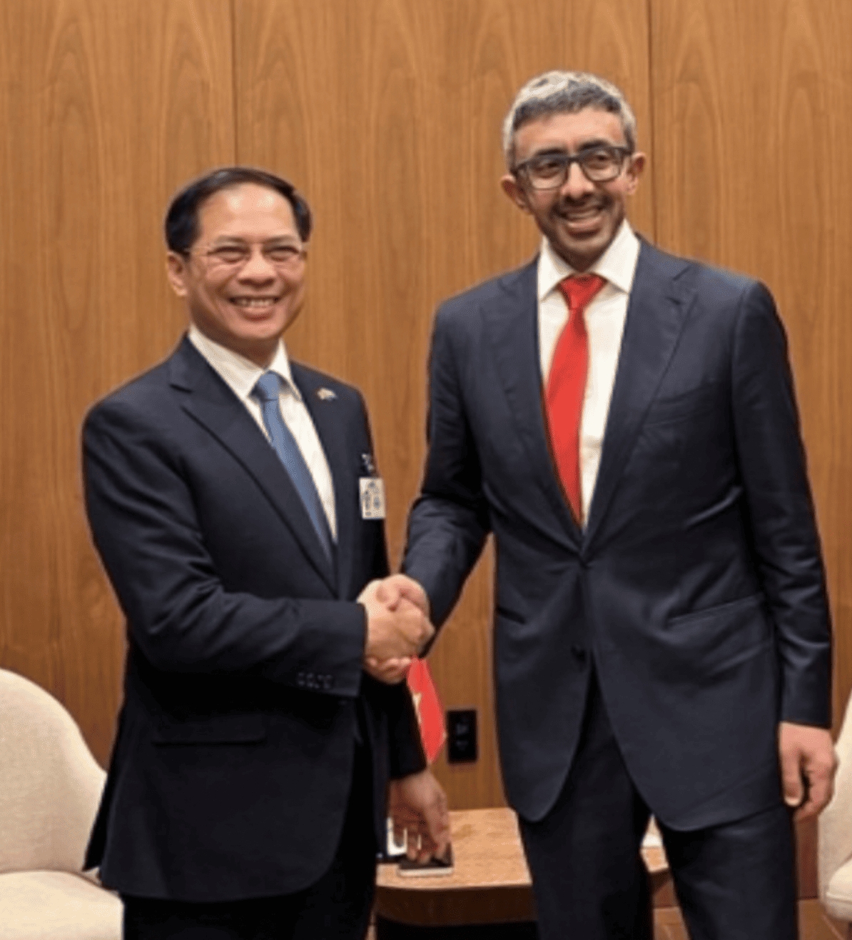 vietnamese deputy pm meets with uae official, us business representatives picture 1