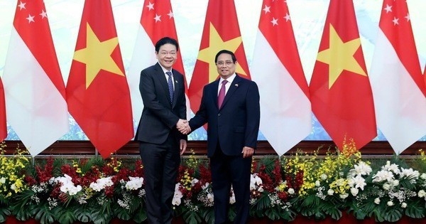 vietnam, singapore step up cooperation in various fields picture 1