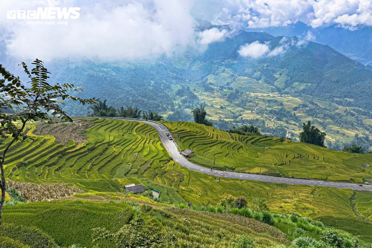 golden terraced fields at 2,000m draw crowds of tourists picture 10