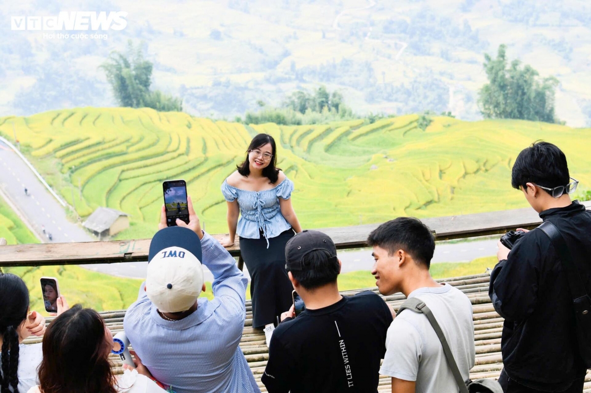golden terraced fields at 2,000m draw crowds of tourists picture 5