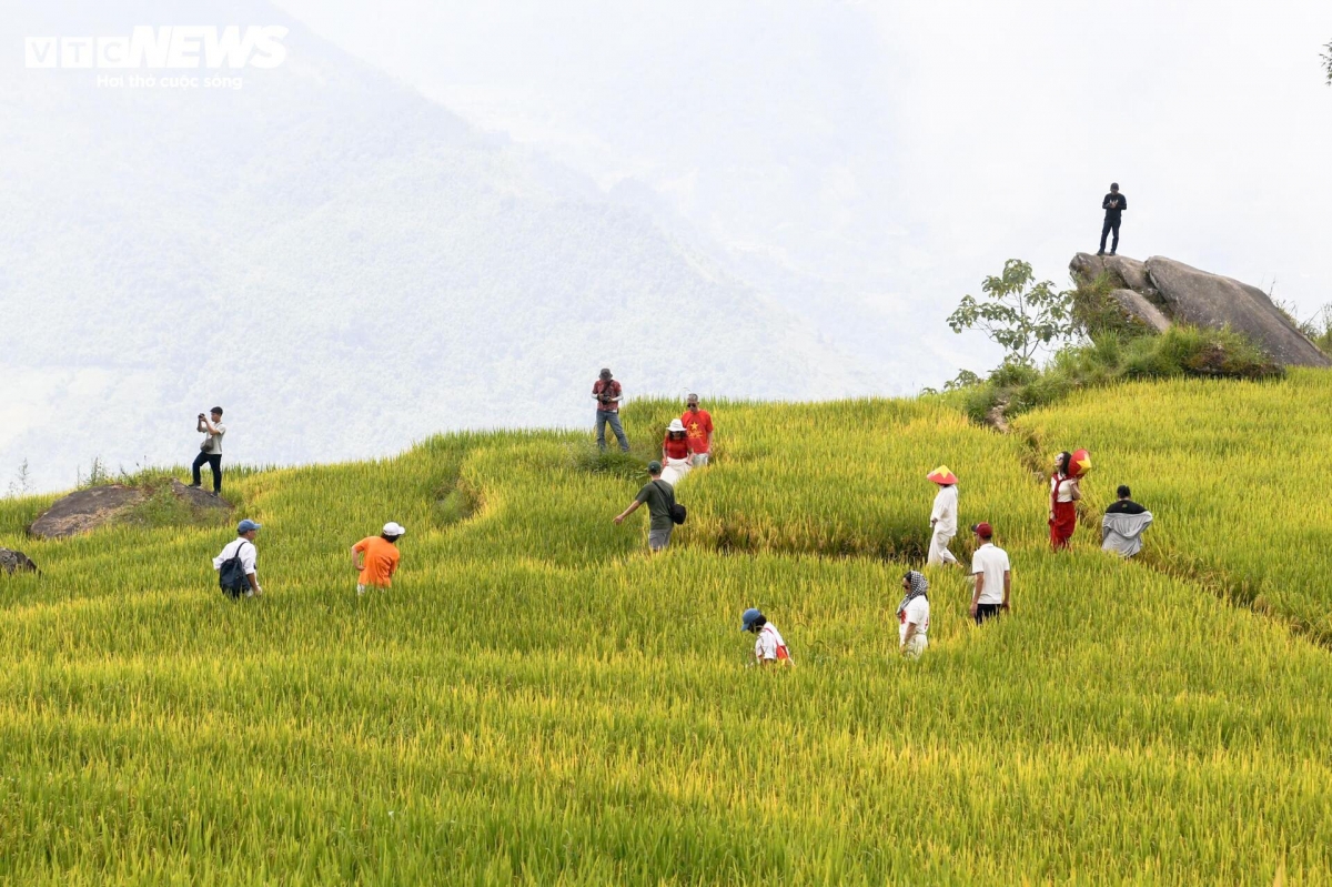 golden terraced fields at 2,000m draw crowds of tourists picture 9