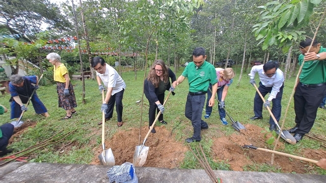 peacetrees vietnam sows seed of peace in vietnam picture 2