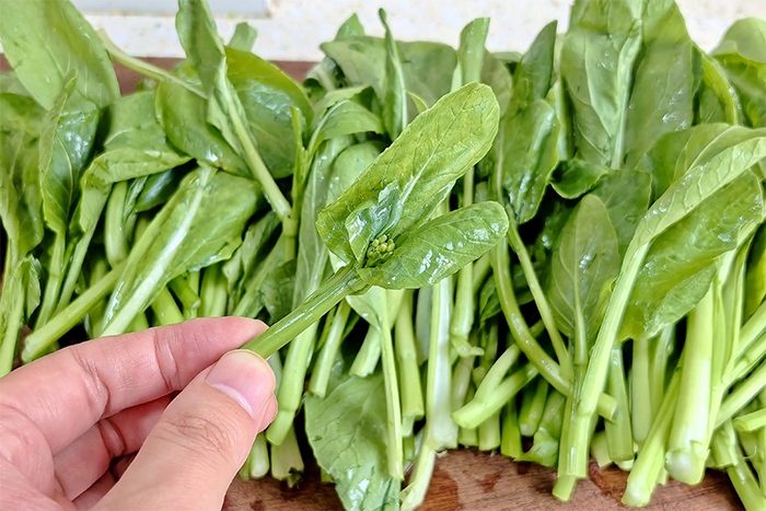 3 loại rau mùa thu giàu canxi nhan nhản chợ Việt, mọi người nên ăn thường xuyên